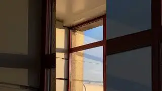 🐦&zwj;⬛ Airport Aviators: Swallows Nesting in Barajas Madrid 🇪🇸