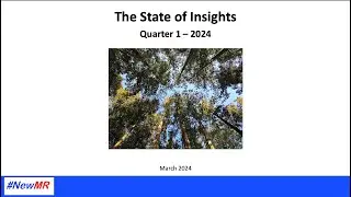 The State of Insights Q1 2024 with NewMR