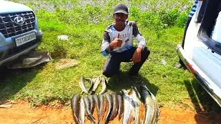 big Wallago cat fishing/ maral fishing// frog fishing/unique fishing/ best fishing/fishing india 🇮🇳