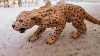 My Jaguar/Leopard Collection!!!