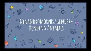 Gynandromorphs and Gender Bending Animals! - Science Ambassador Scholarship