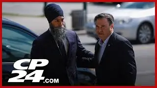 New interim leader named for federal NDP after Singh steps down
