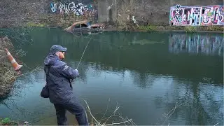 I Fished an Urban City River and Caught a NEW SPECIES