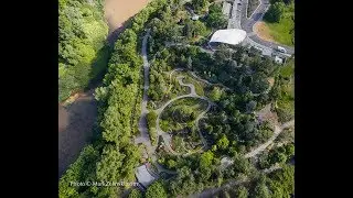 The New Rock Garden