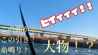 鬼怒川本流餌釣り　やっぱ大物はスゲー!!w