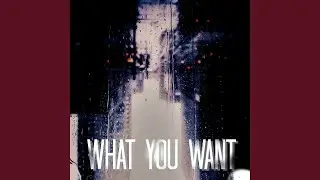 What You Want