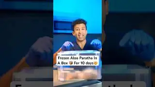 Frozen Aloo Paratha In a box for 10 days🤯#frozenfoods #aloo #alooparatha #paratha #health #healthy