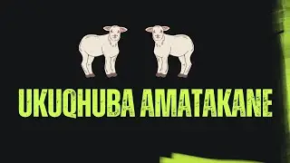 ISIQENDU 02 IZACI NAMAQHALO -  UKUQHUBA AMATAKANE