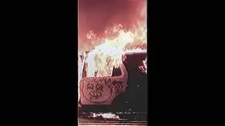 Dead Poet Society - .SALT. (Official Audio)
