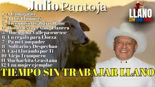 Julio Pantoja Tiempo sin Trabajar Llano Álbum Completo #llanera #llaneras #joropo #musicallanera