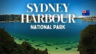 Sydney Harbour National Park 🇦🇺 | Walking Tour | 4K