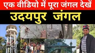 #उदयपुर जंगल | Udaipur Wildlife Sanctuary Bihar | West Champaran का खूबसूरत जंगल | #Udaipur Forest