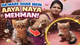 Happy Mare Ghar Mein Aaya Naya Mehman! Vlogs video #SanjaySinghVlogs #souravjoshivlogs 