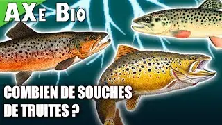 🔬 Arr&ecirc;tez de parler de TRUITES DE SOUCHE !!! - AXe Bio 04