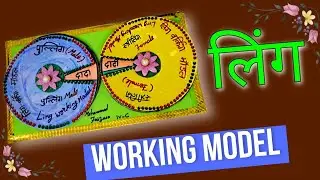 How To Make A Working Model of लिंग For Exhibition