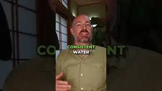 Dehydration: The Hidden Energy Thief
