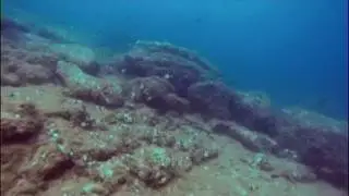 Moby Diving Center Lampedusa - L'avventura continua - Dive with Us!