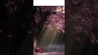 Beautiful Relaxing Music|Peaceful Instrumental Music Relaxingmusic maditation healing music tuneone