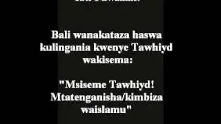 08- Jama'atut Tabliygh Wote Ni Wamoja - 'Allaamah al-Fawzaan