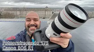 Fotografregando 175. Canon EOS R1.