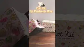 Cat Kit mystery box by Pusheen Box Summer 2024 #unboxingvideo