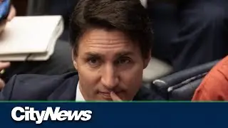 India&rsquo;s new travel warning to citizens in Canada amid diplomatic row
