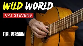 Wild World ~ Cat Stevens | EASY Fingerstyle Guitar Lessons TAB