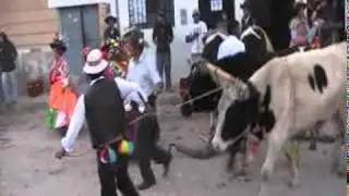 fiesta san isidro labrador 2011 carumas mokewa.mpg
