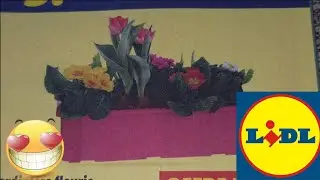 ARRIVAGE LIDL 3 F&Eacute;VRIER 2026