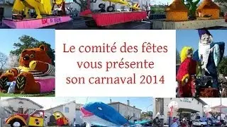 Carnaval 2014 de Layrac (47)