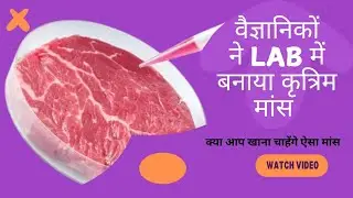 lab-grown meat || cultured meat || artificial meat || cultured meat process