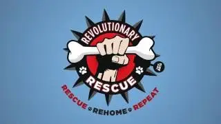 Revolutionary Rescue's Adoption Process