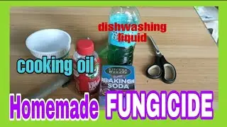 How to make Homemade fungicide||Bert DC
