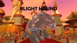 Фантастические питомцы WOW и где их найти | [BLIGHT HOUND]