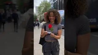 A rose 🌹 from a stranger