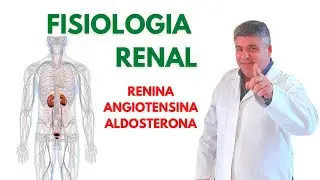 CONTROLE DA PRESS&Atilde;O SISTEMA RENINA ANGIOTENSINA ALDOSTERONA