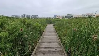 Intaka (Bird) Island Exploration | Century City, Cape Town