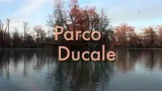 Parco Ducale Parma Anatre 4k