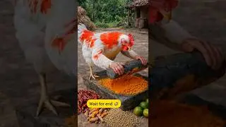 अब अंडा कौन देगा रे बाबा 🤣|#shorts #funnycomedy #youtubevideos #comedyshorts #monkey #comedy