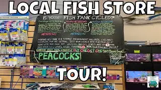 LOCAL FISH STORE TOUR SANDY'S PET STORE