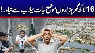 16 Lac Homes Destroyed by Flood | PDMA Updates about Flood in Punjab | City42