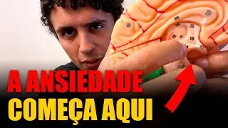 O C&eacute;rebro Ansioso