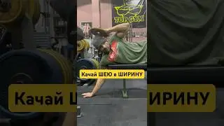 А вы тренируйте шею? #bodybuilding #fitness #gym #спорт #top #topgym #ifbb #фитнес #тренировка
