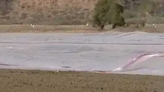 Sisquoc Video