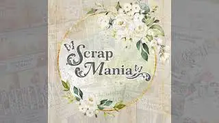 Дизайнерская посылка ScrapMania- Aвгуст 2025г. 2 часть