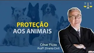 Prote&ccedil;&atilde;o aos animais
