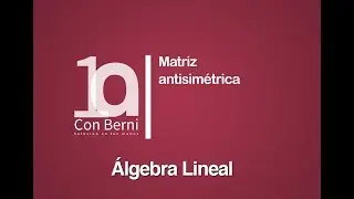 Matriz antisimétrica | Ejemplo 1
