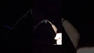 big fish taking line he shows fish WOW