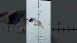 ДОКУКАРЕКАЛАСЬ😃
