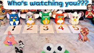 Pick a card Who’s watching you???👀